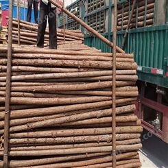 亿展木业 优质杉木杆 绿化杆 河道杉木桩打桩木 园林绿化支撑杆