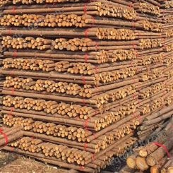 亿展木业 原木 杉木桩 安全可靠性高 循环利用打桩木